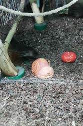 Изображение Изображение