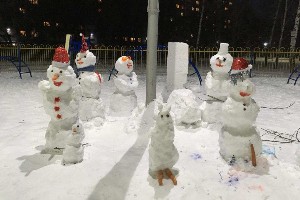 �����������