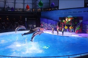 �����������